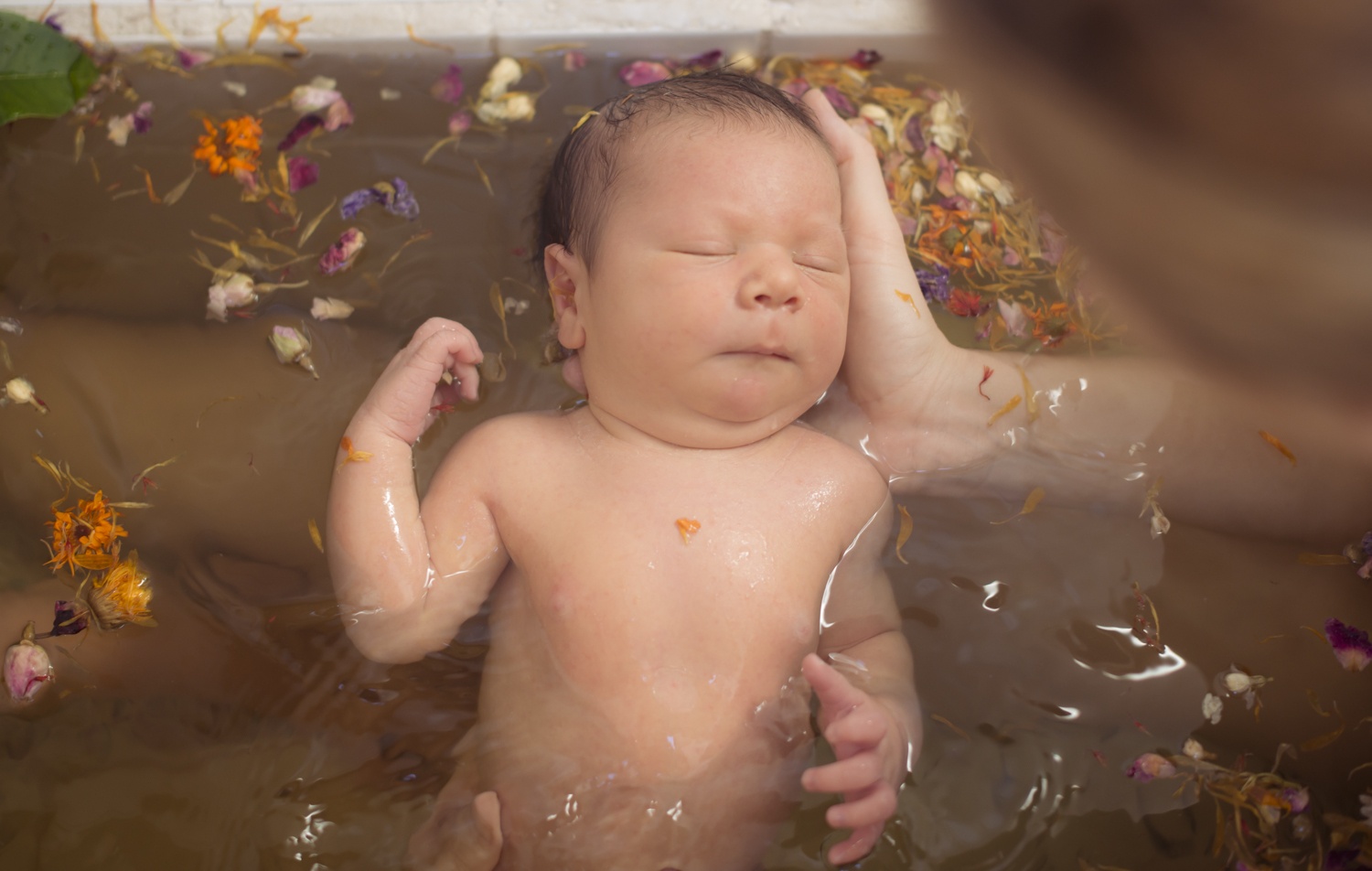 Первый день купания. Лечебные ванны для детей. Купание новорожденного в ванной. Купание ребенка в ванне с травами. Купание грудного ребенка.