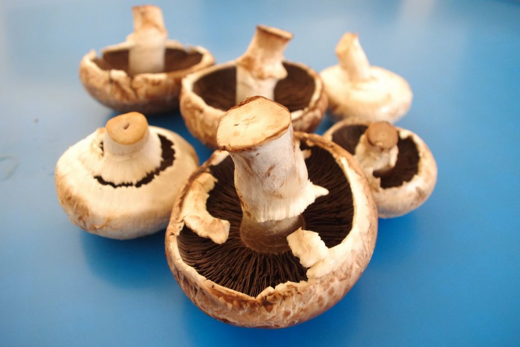 Польза грибов: почему их нужно есть чаще?