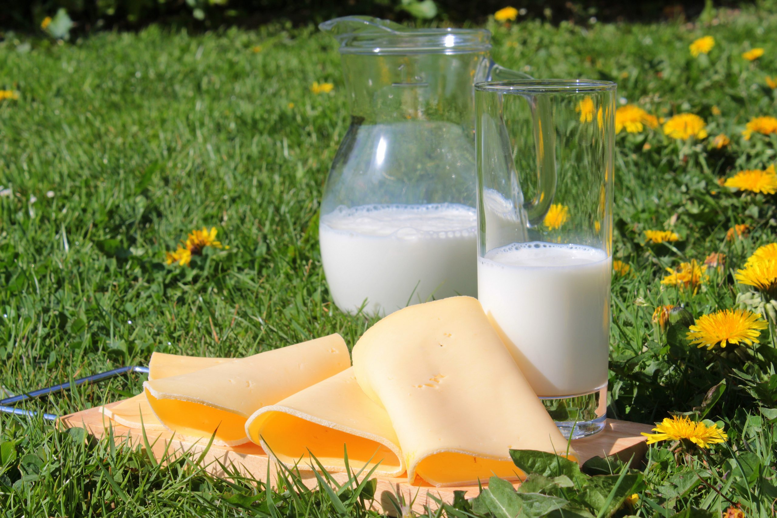 Помогает ли отказ от молочных продуктов сбросить лишний вес?