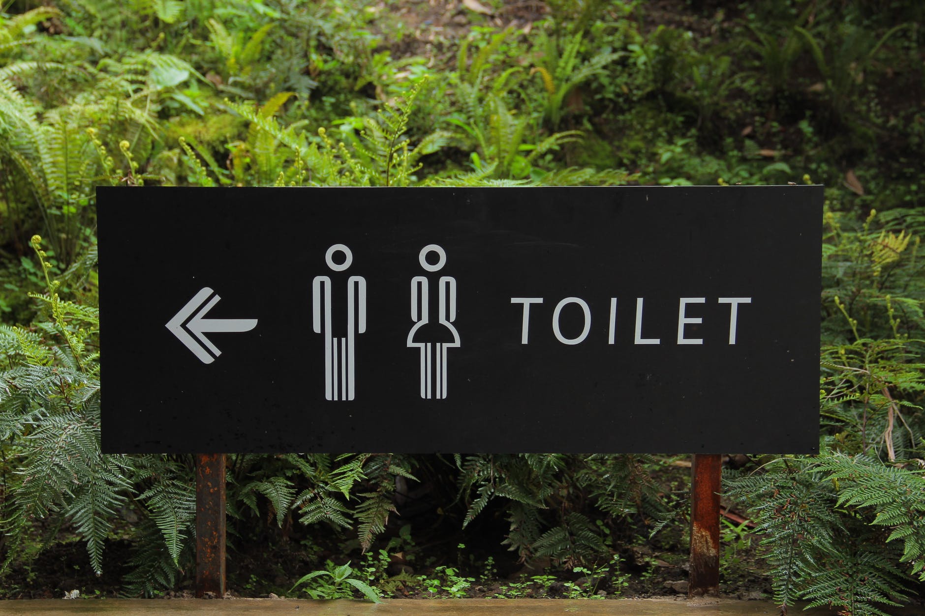 Опасно ли терпеть, если захотелось в туалет?