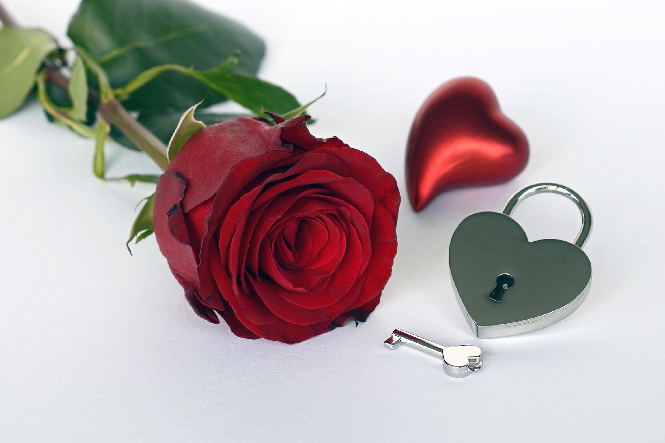 Что букет цветов в День Святого Валентина расскажет о ваших отношениях?