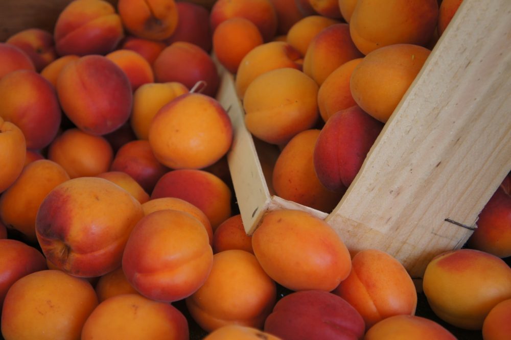 Созрели ли абрикосы? Советы, как правильно выбирать фрукты
