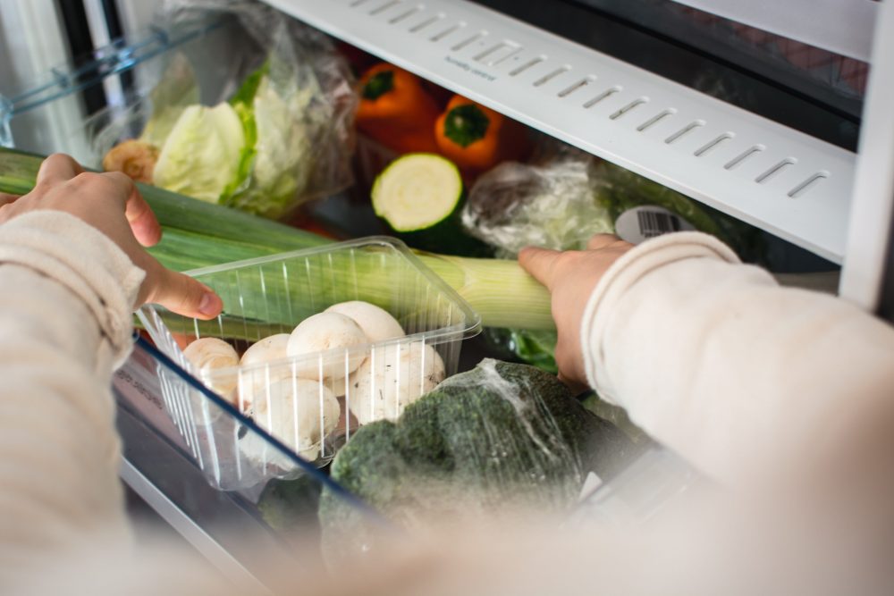 Как избавиться от плесени в холодильнике быстро и без лишних затрат