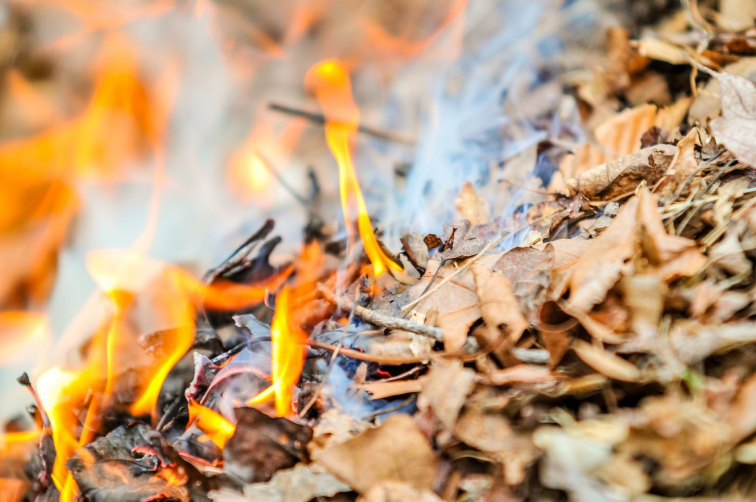 Сжигание листвы