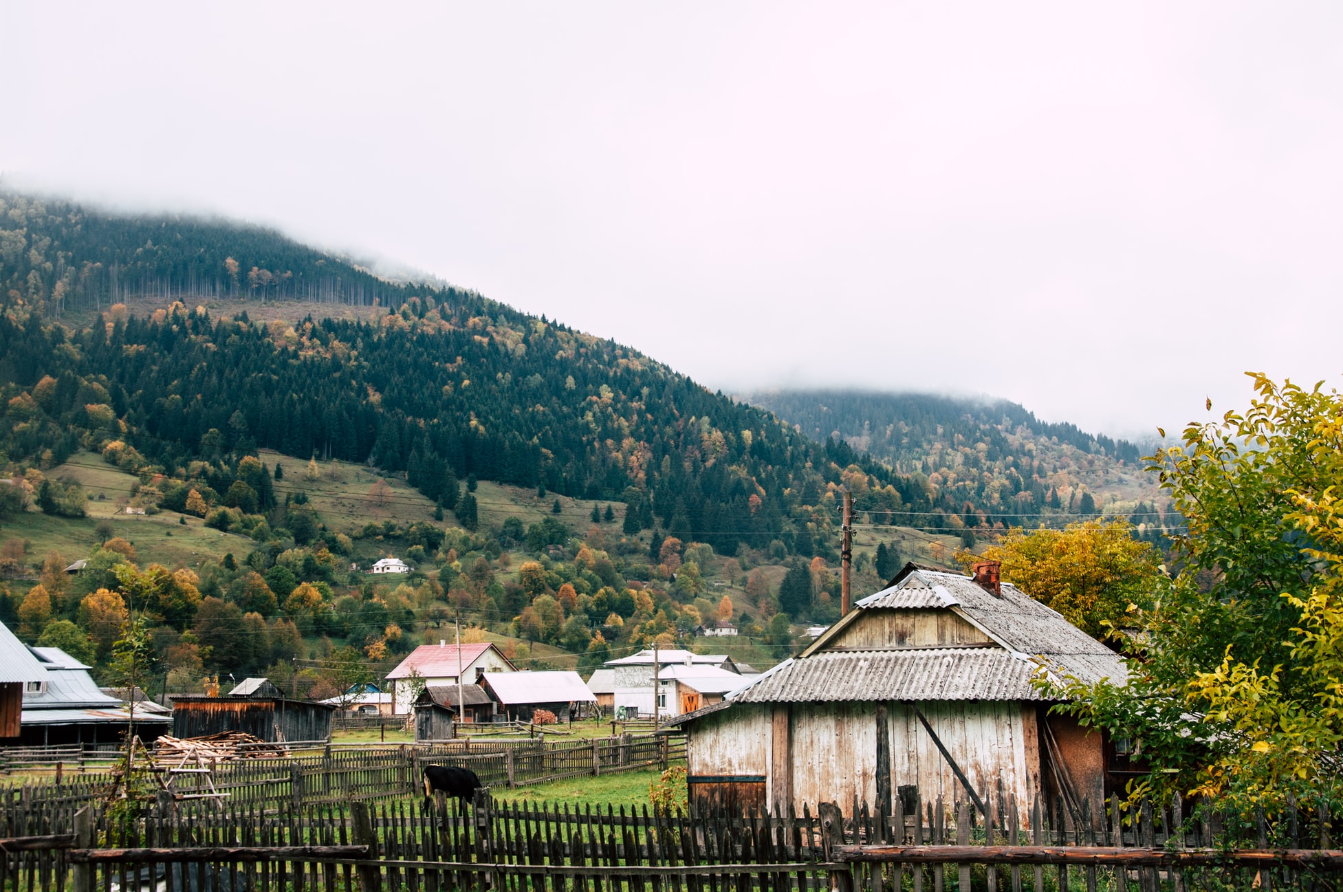 Куда поехать в Украине осенью: 7 удивительных мест для незабываемого отдыха