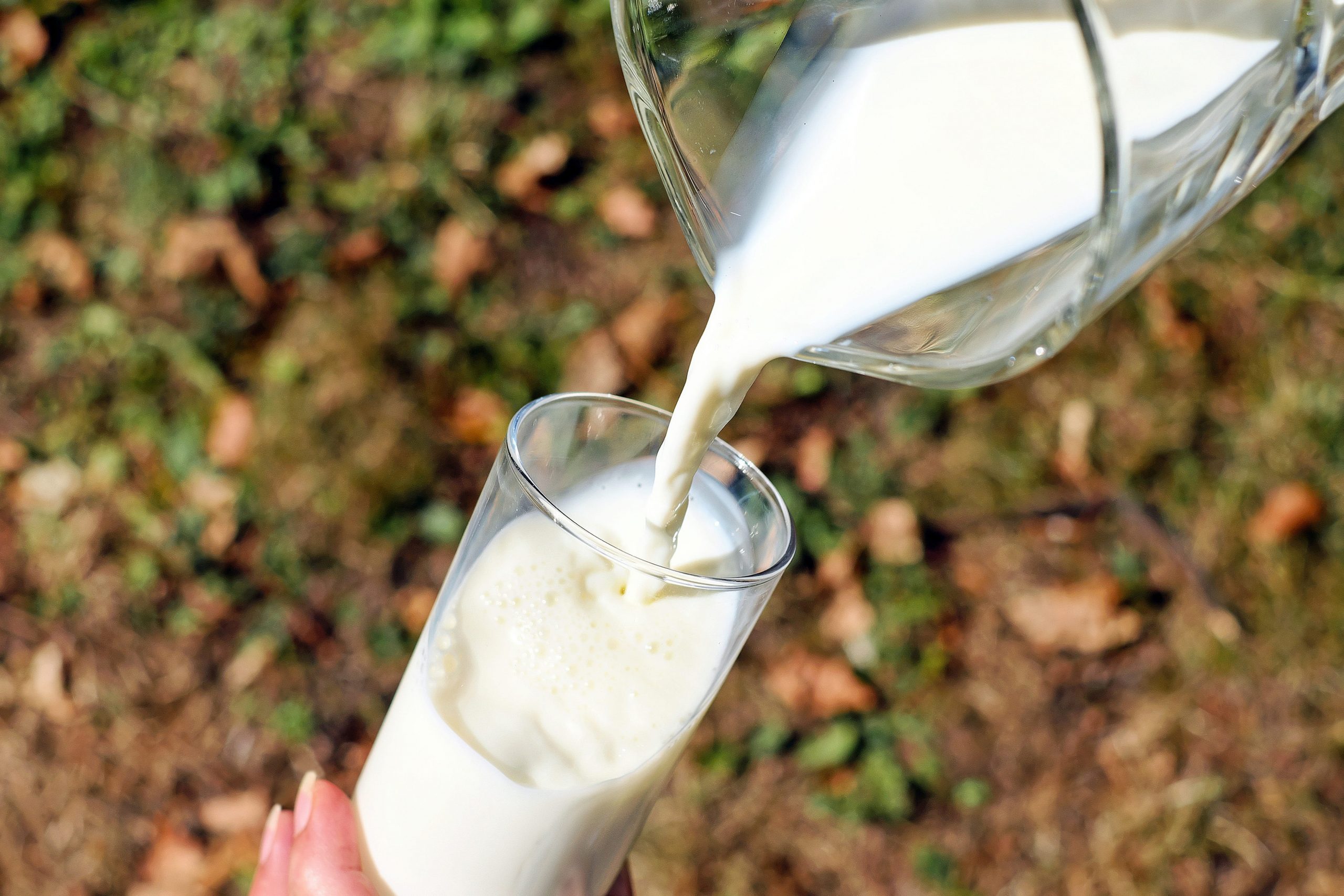 Что произойдёт с телом и здоровьем, если вы будете пить молоко каждый день