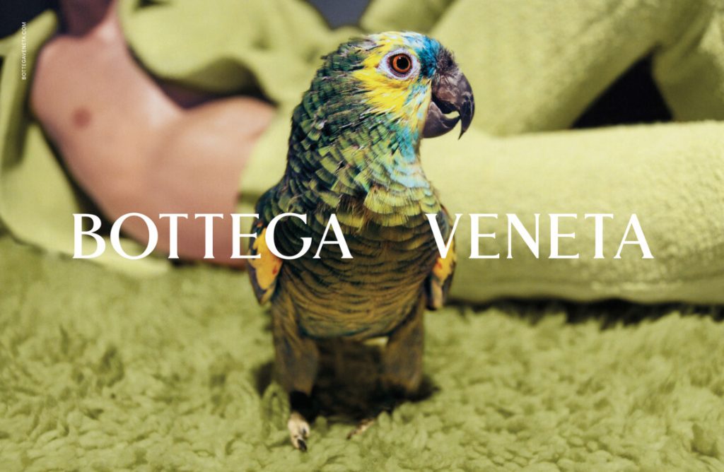 О важности одежды: чем удивили Bottega Veneta в новом кампейне
