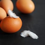 Реальная разница между утиными и куриными яйцами