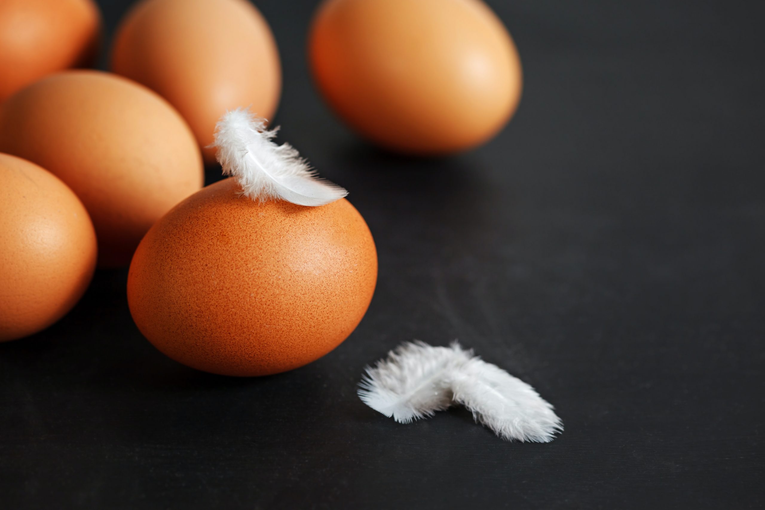 Реальная разница между утиными и куриными яйцами