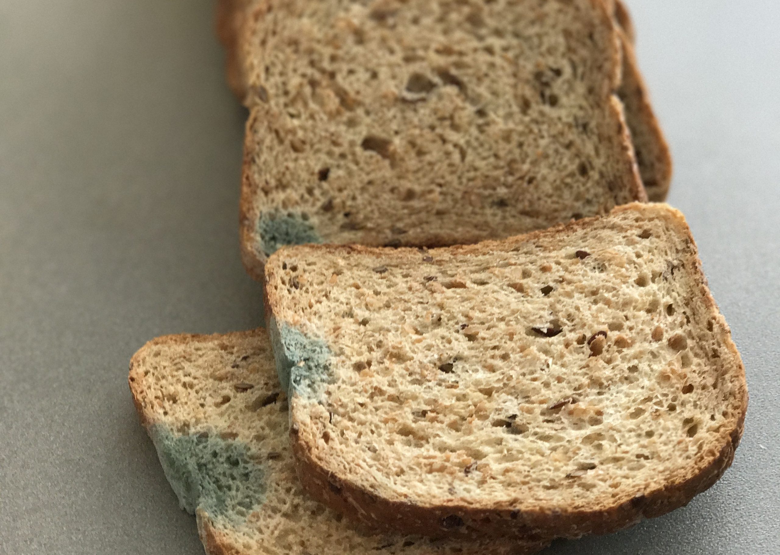 Что на самом деле случится, если вы случайно съедите хлеб с плесенью