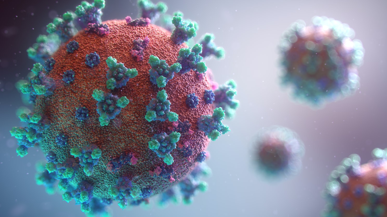 Что такое коллективный иммунитет и как его достичь?