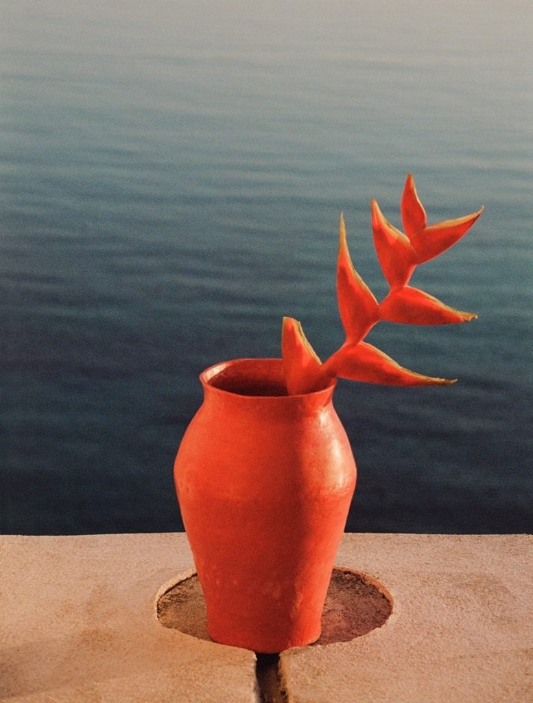 Saint Laurent вдохновились садом Ив Сена-Лорана и создали коллекцию ваз
