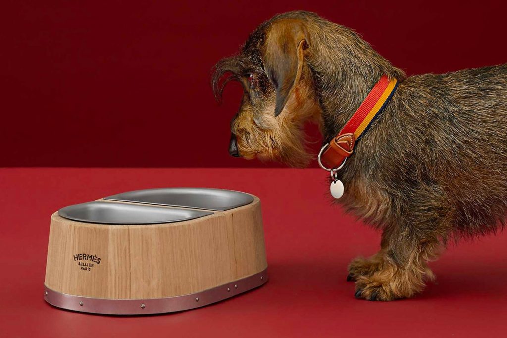 За 1000 долларов: Hermès выпустили миску для собак