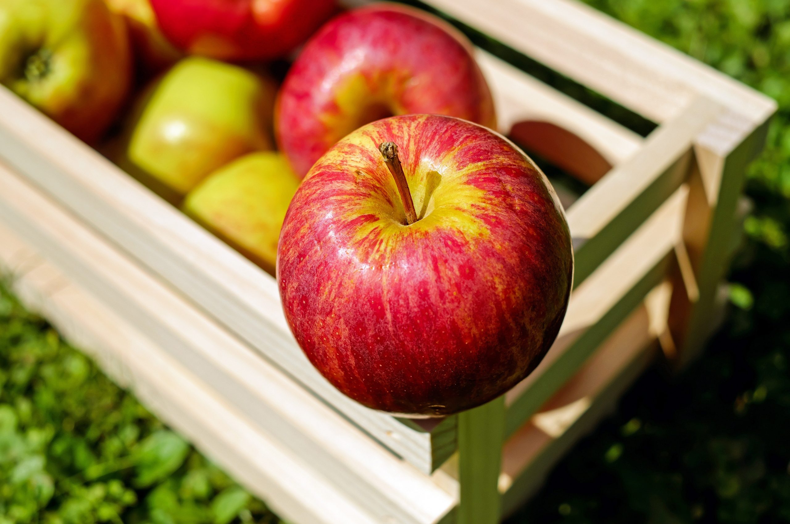 Секрет того, как хранить яблоки, чтобы они были сочными и хрустящими всегда