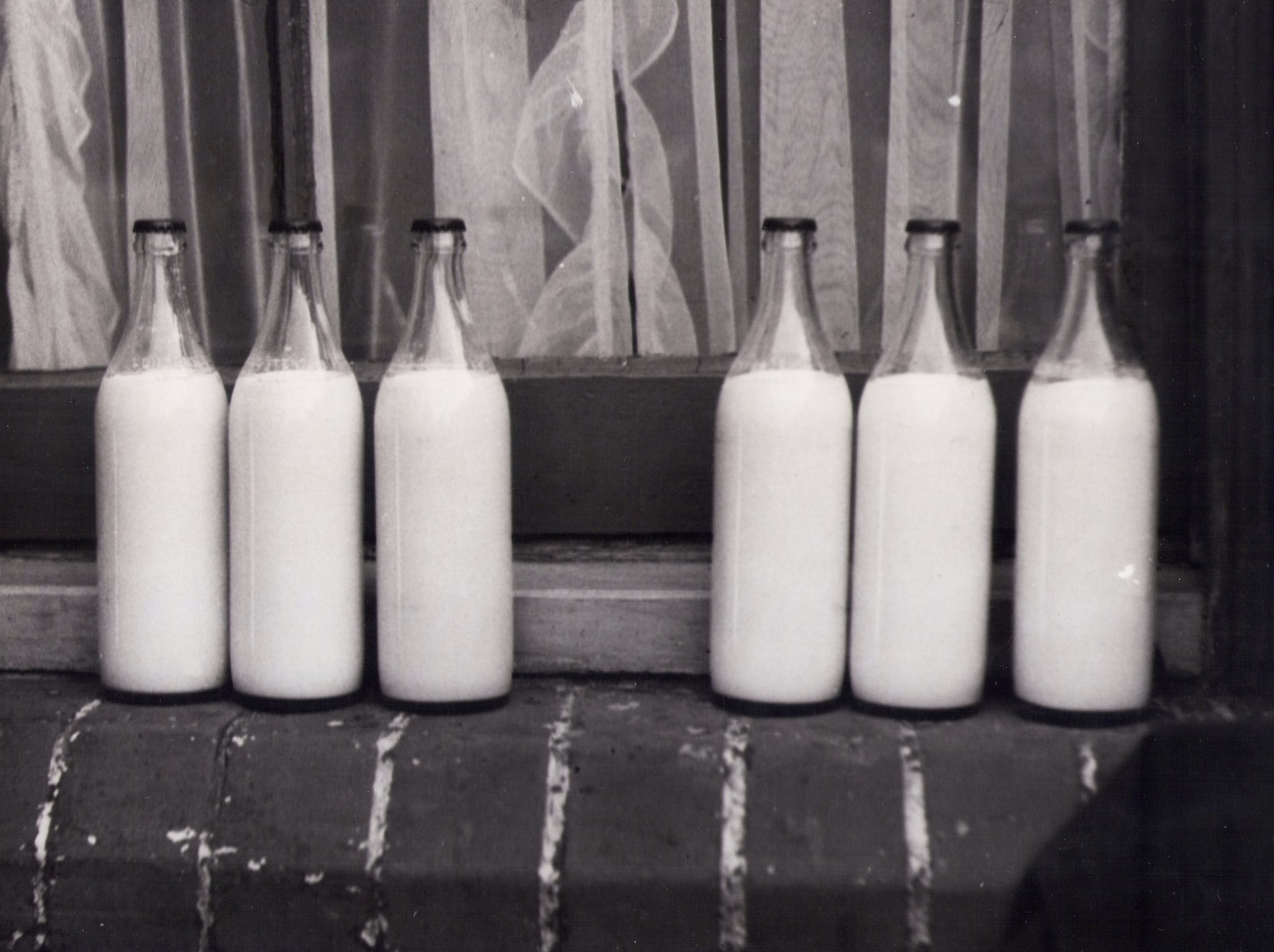 Как хранить молоко и продлить его срок годности в дефицитное время