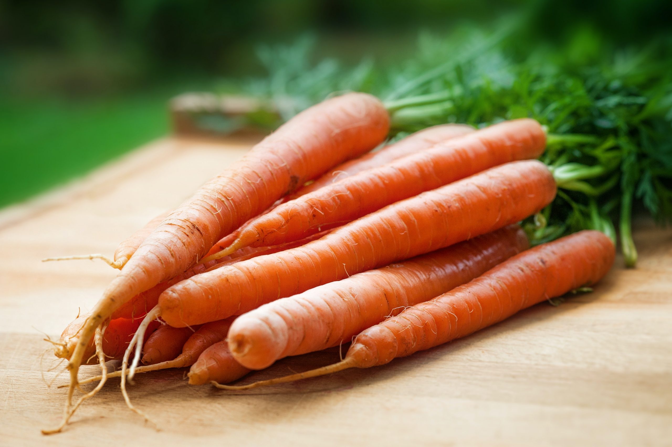 Бабушкин секрет: чем подкормить морковь в июне, чтобы урожай увеличился втрое