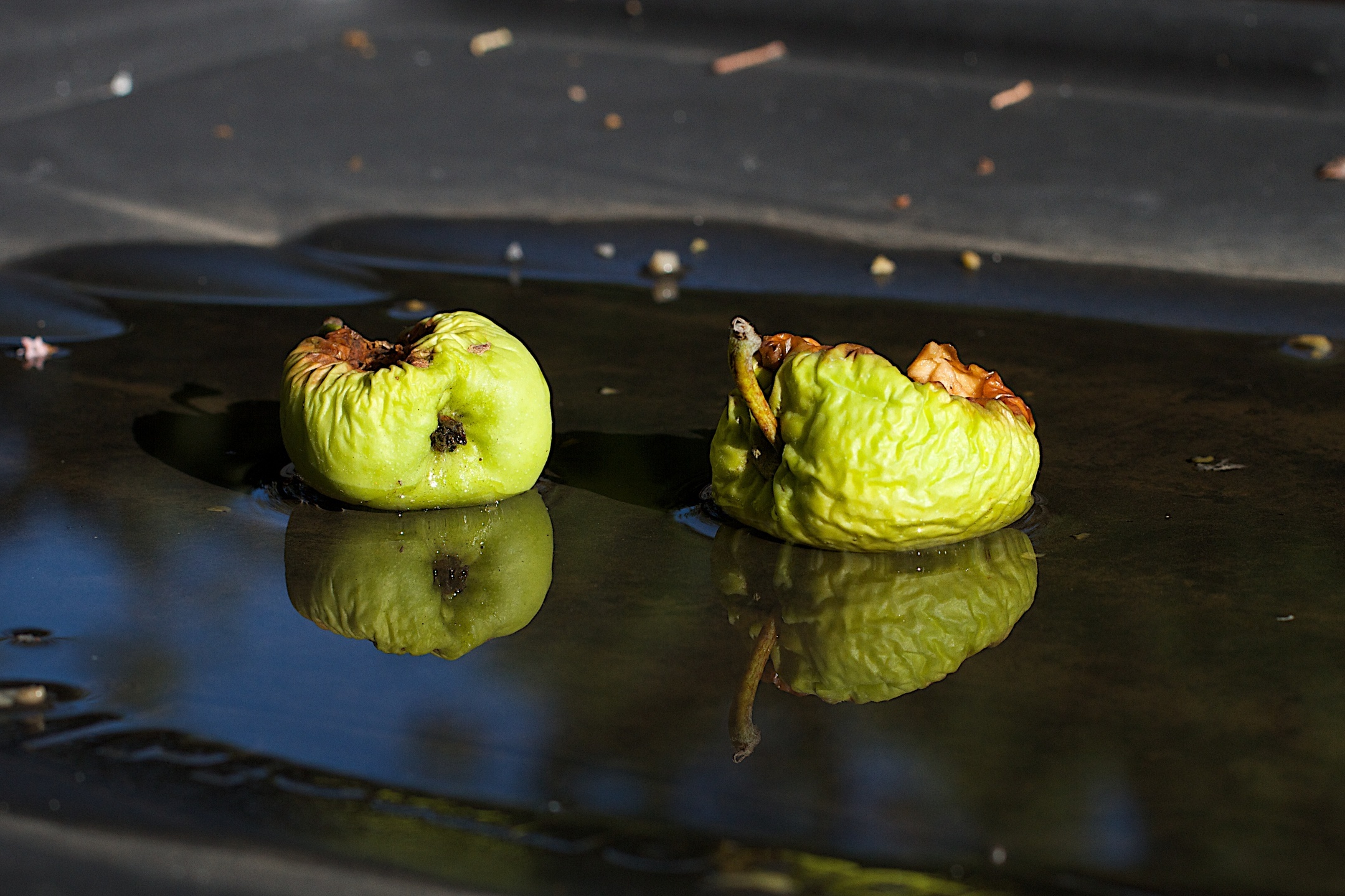 Не выбрасывайте гнилое яблоко: его можно использовать в саду как удобрение