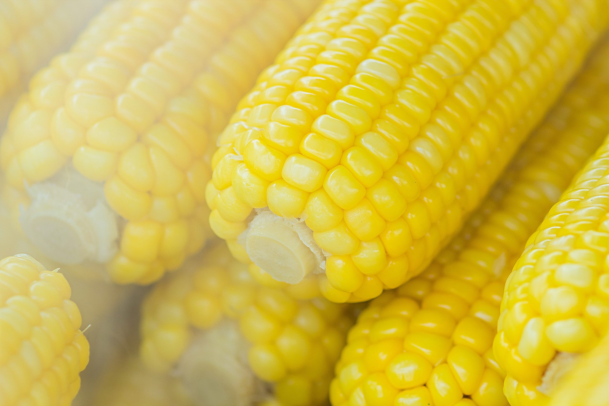 Прежде чем есть кукурузу, вы должны узнать о некоторых предостережениях врачей