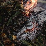 Почему нельзя сжигать листья, которые вы сгребли со своего двора