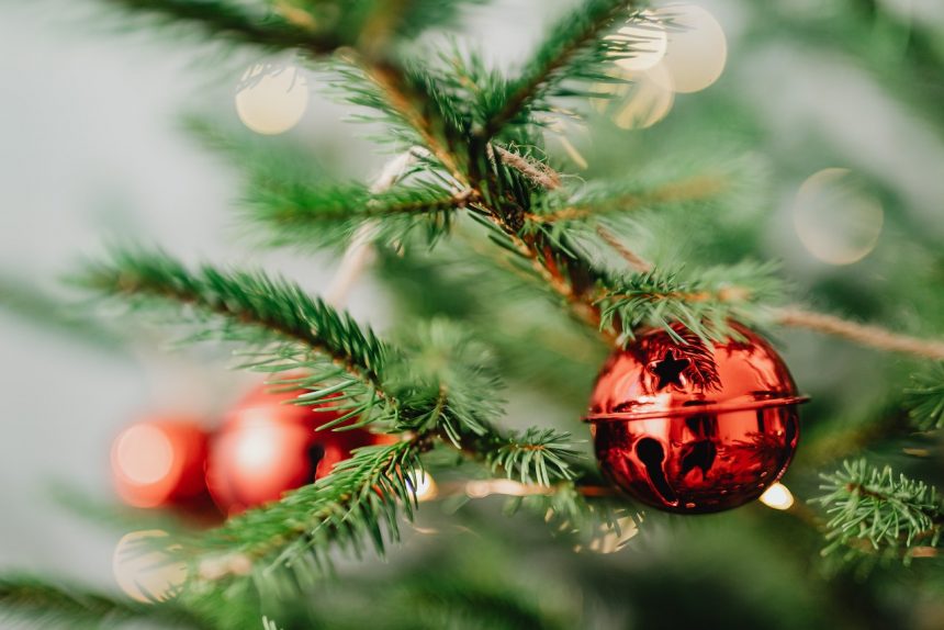 3 секрета, как добиться того, чтобы елка продержалась все праздники