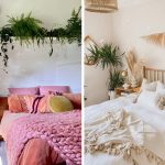 Які рослини тримати в спальні: 5 оптимальних варіантів