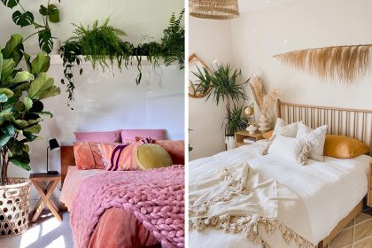 Які рослини тримати в спальні: 5 оптимальних варіантів