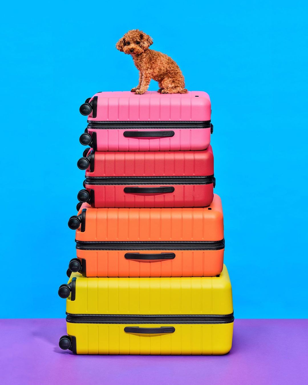 Стильно, недорого и вместительно: 5 лучших брендов чемоданов 2023 года