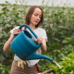 Секретний інгредієнт: що додати у воду для поливу рослин у саду та вдома