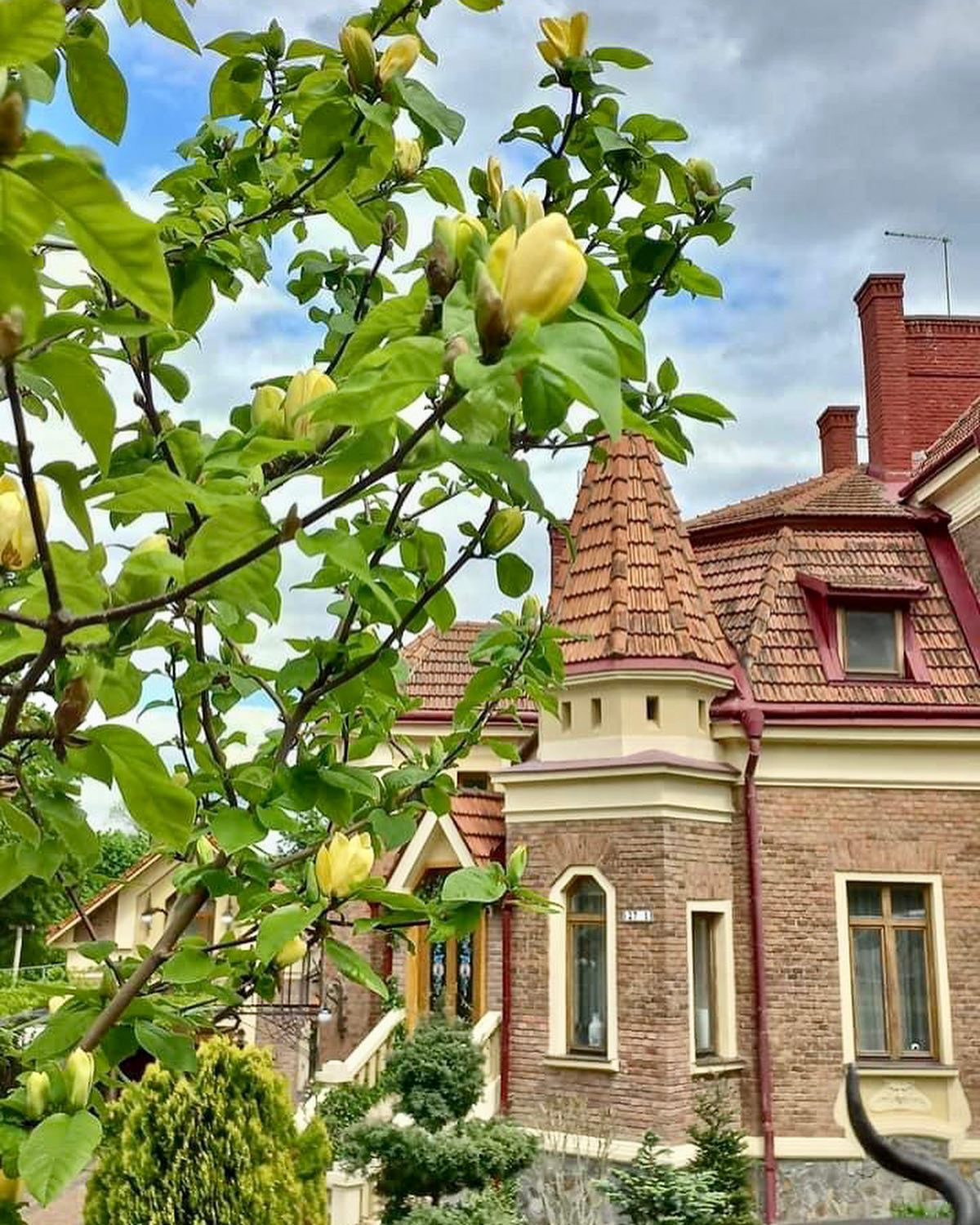 Жемчужина Буковины – колоритный город Черновцы. Источник: Instagram