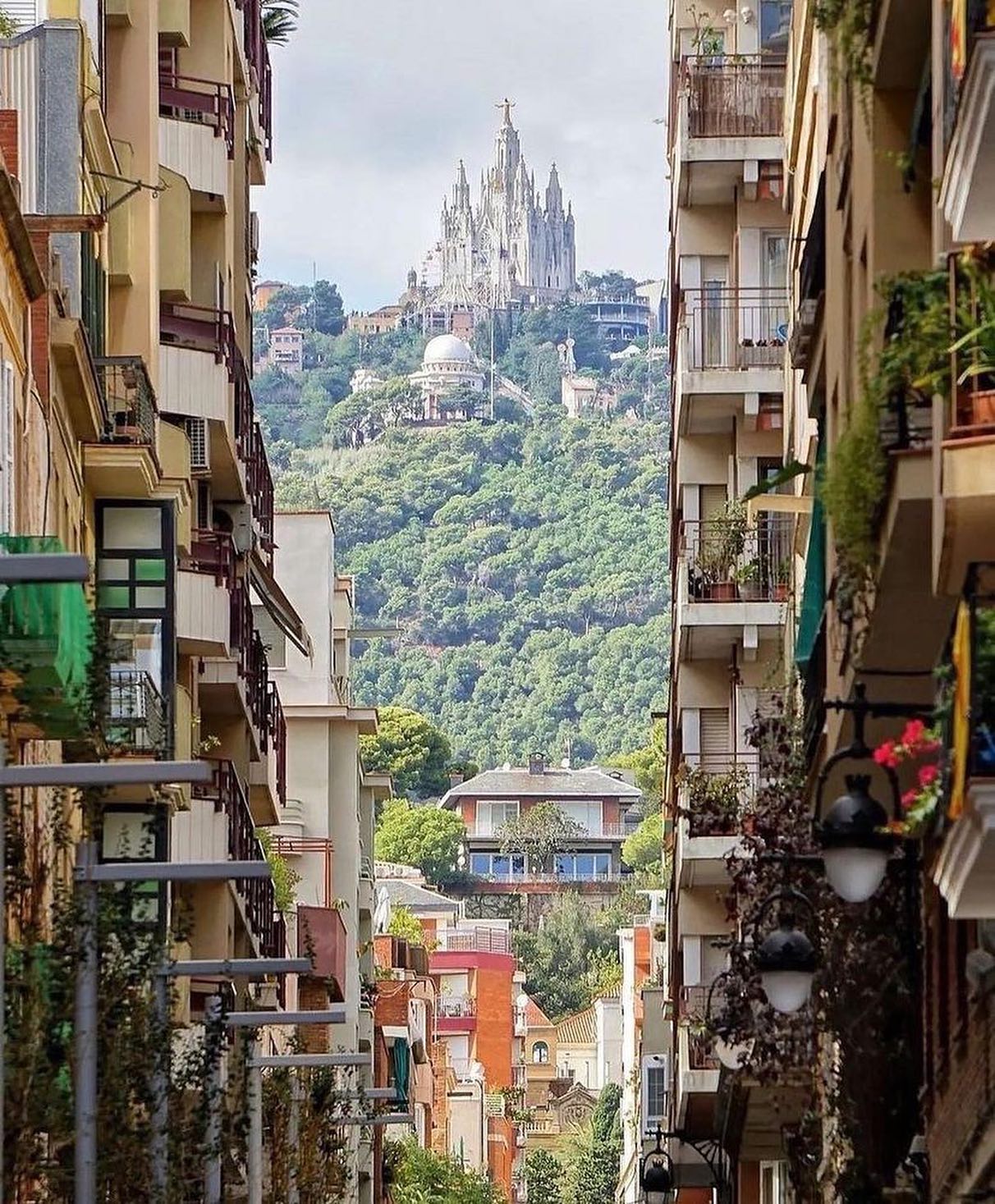 Настоящая каталонская красавица Барселона