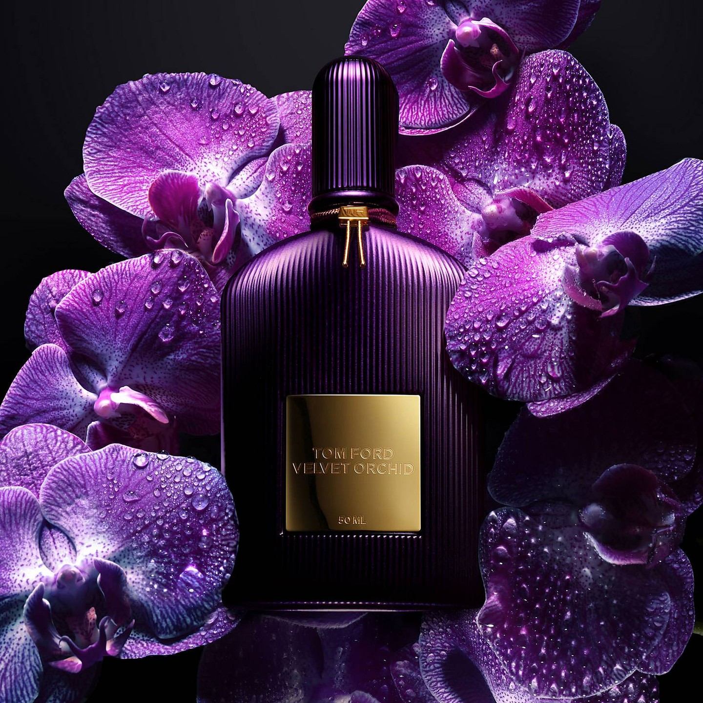 Velvet Orchid. Источник: Instagram