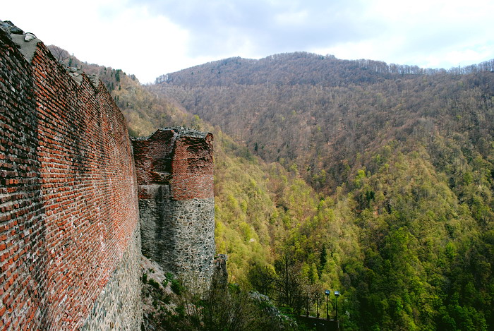 Замок Поенарі