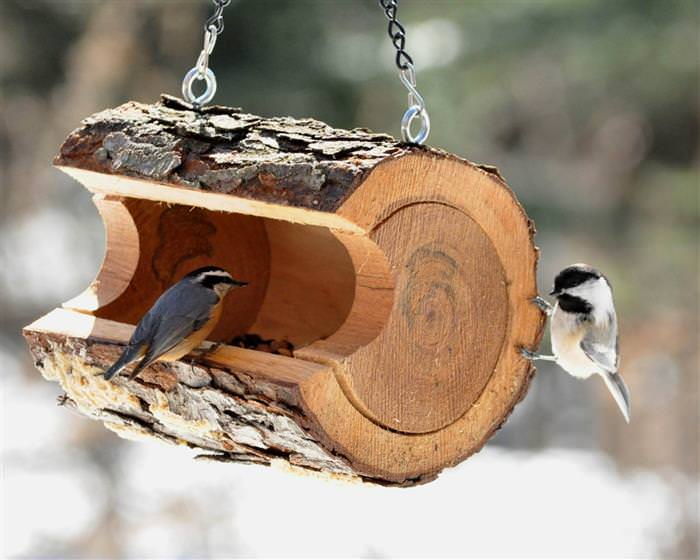 Зоозахисники попереджають, що взимку важливо не лише годувати птахів, але й правильно доглядати за годівницею.