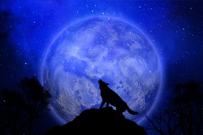 Вовчий Місяць: дата і значення першого повного місяця у 2024 році