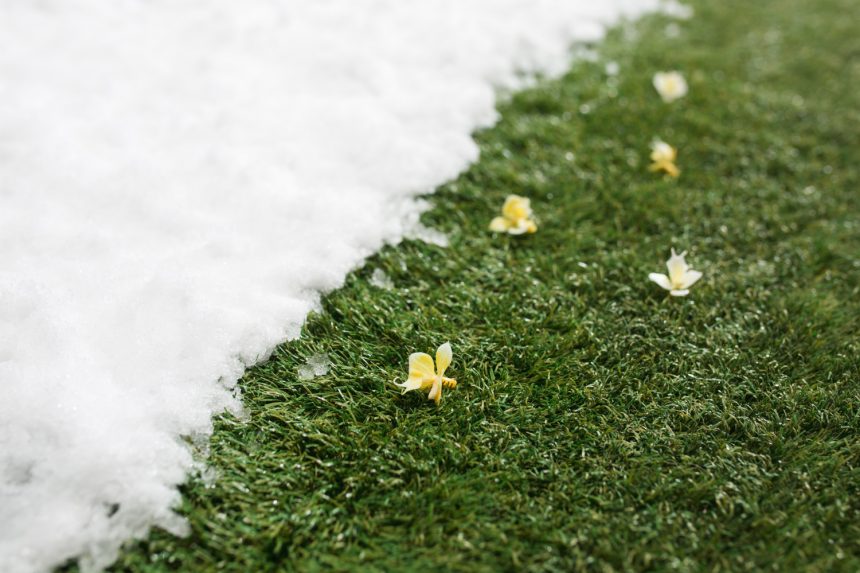 Сніг – секретна зброя при плануванні весняного саду. Ось чому