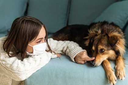 Усе, що потрібно знати про собачий грип, на думку ветеринарів