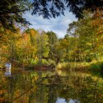 5 чарівних лісів Німеччини, які варто дослідити кожному туристу
