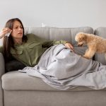 Чи можна заразити собаку грипом? Думка експертів