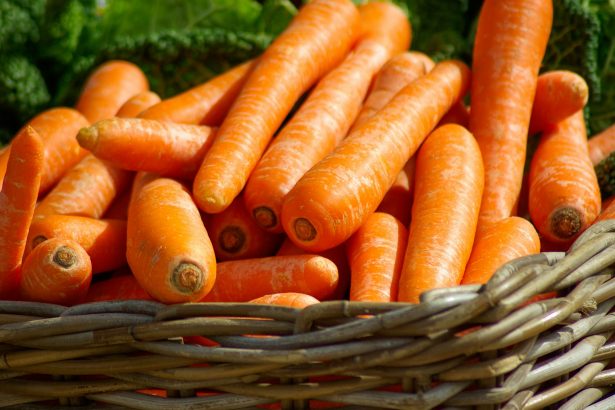 Метод вирощування моркви для гарантованого врожаю: геніальна техніка