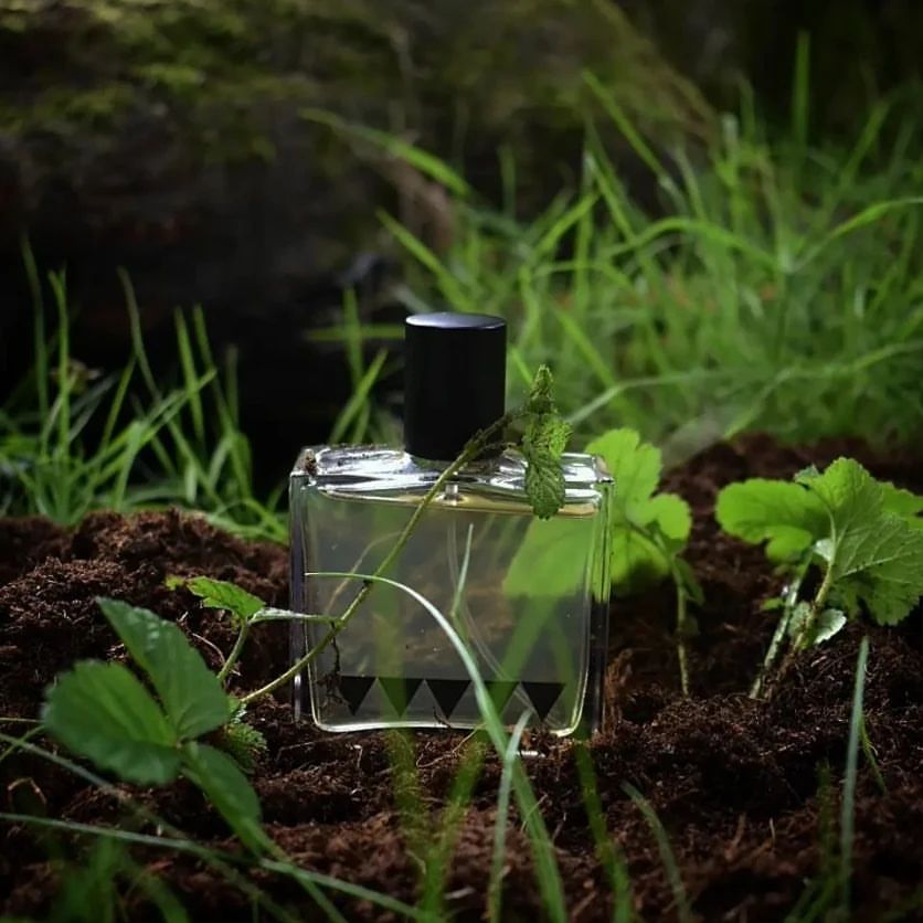 Undergrowth 2020 Edition, Rook Perfumes