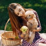 Які людські продукти можна їсти собакам? 9 безпечних варіантів