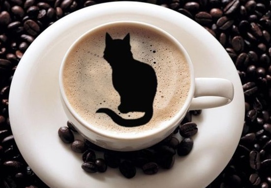 Пейте кофе в обществе любимого кота