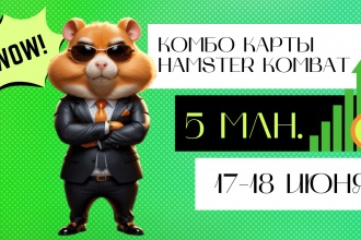 Нові комбо карти Hamster Kombat 17-18 червня для отримання 5 млн. монет