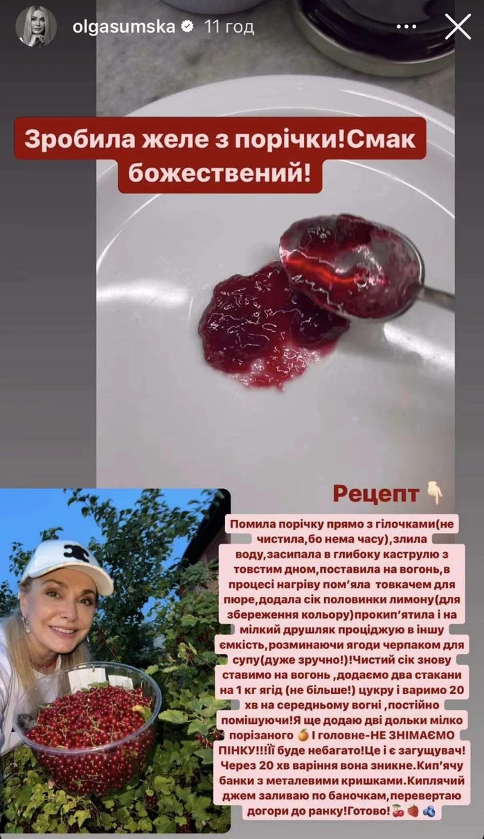 Ольга Сумська поділилась власним рецептом «божественного» желе з порічки