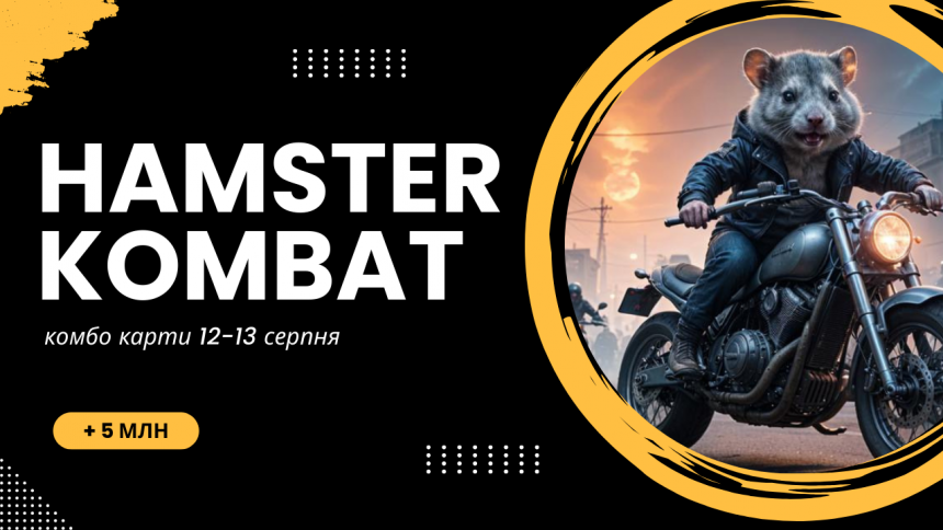 12-13 серпня купуємо нові комбо-карти в Hamster Kombat