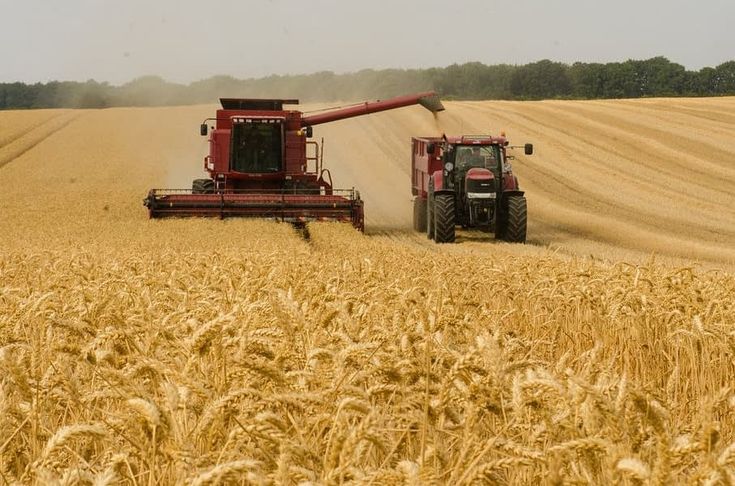 Коли серце відгукується на працю