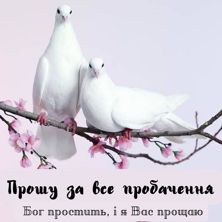 День прощення