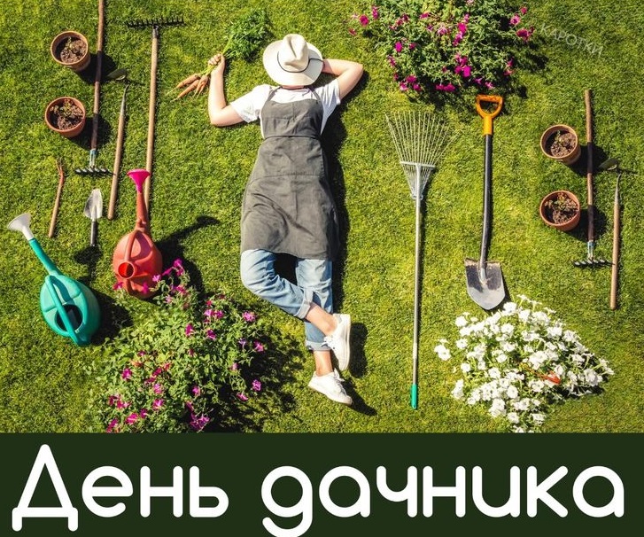 Як оригінально привітати з Днем дачника