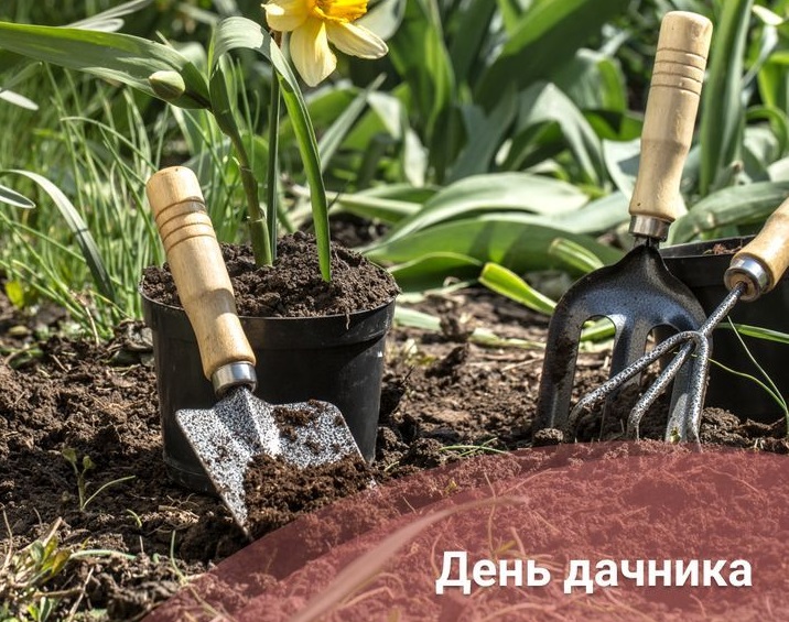 побажання, ідеї для листівок і повідомлень