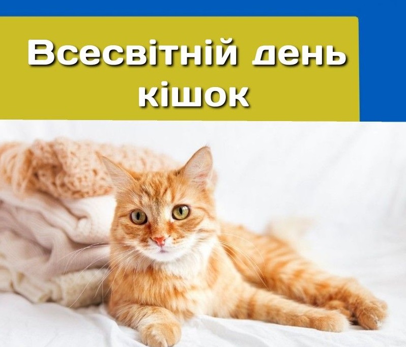 Побажання до Дня кішок
